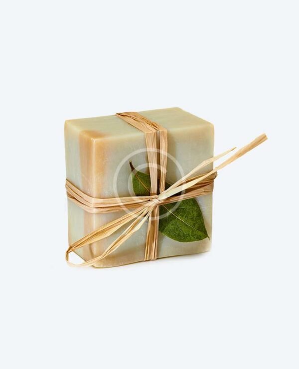 Handmade Natual Organic Soap with Peppermint and Aloe Vera