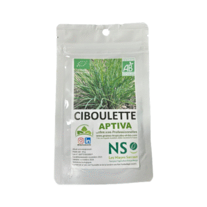 ciboulette bio sachet de 10g