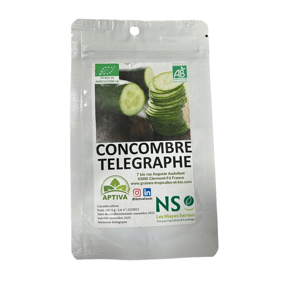 concombre telegraphe bio sachet de 5g