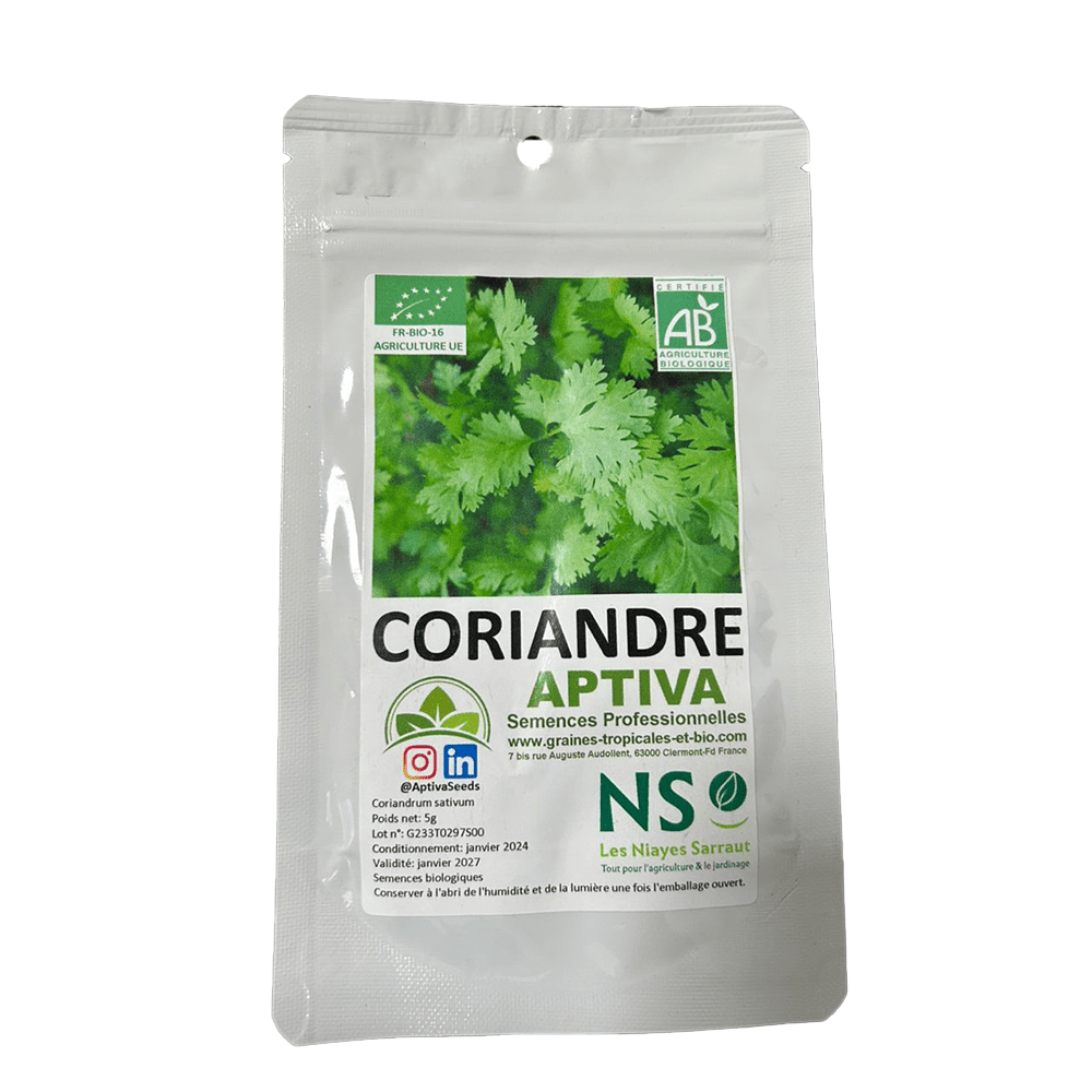 coriandre bio sachet de 5g