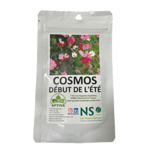 cosmos debut de l’été melange sachet de 10g
