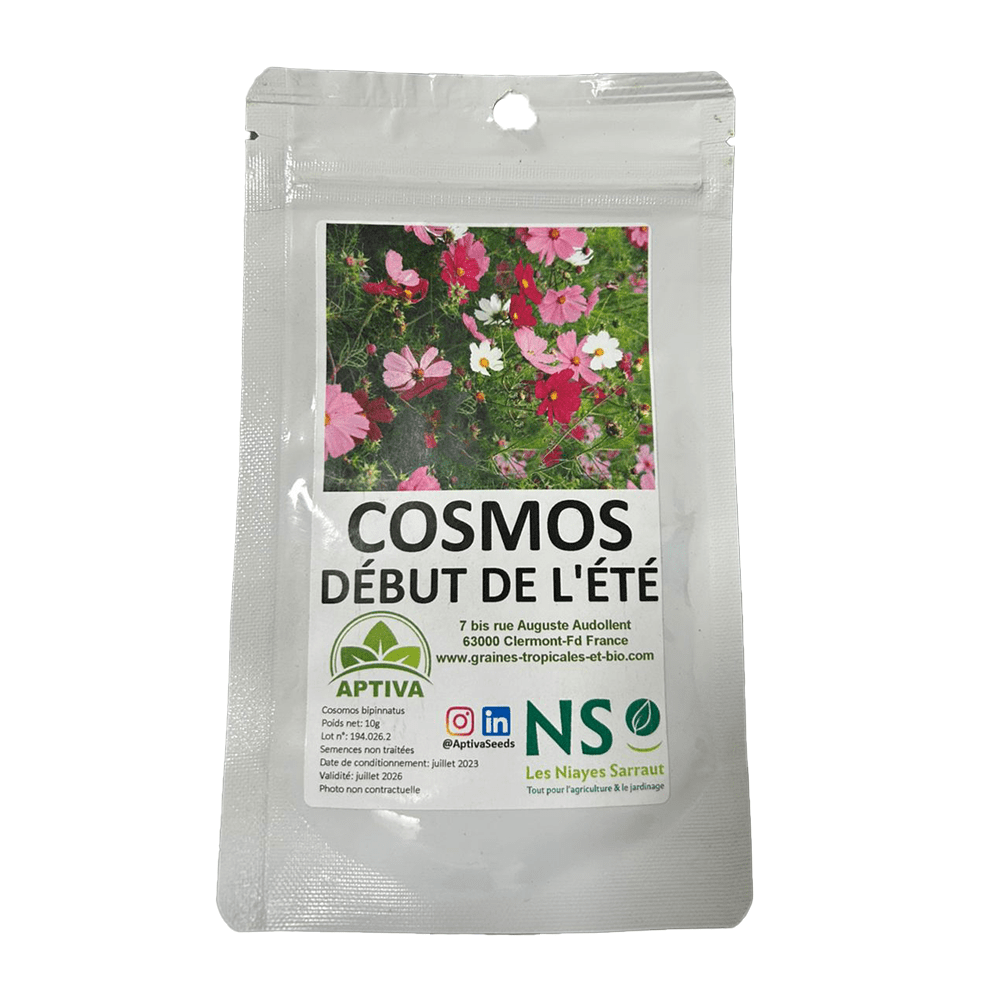 cosmos debut de l’été melange sachet de 10g