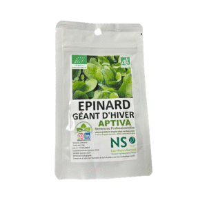 epinard geant d’hiver sachet 10g