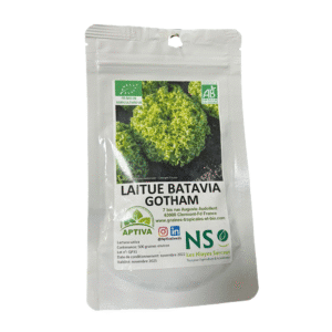 laitue batavia gotham bio 500graines
