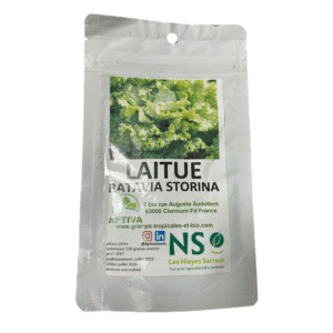 laitue batavia storina bio – sachet de 500 graines