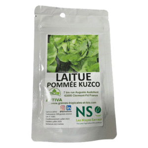 laitue pommee kuzco 500graines