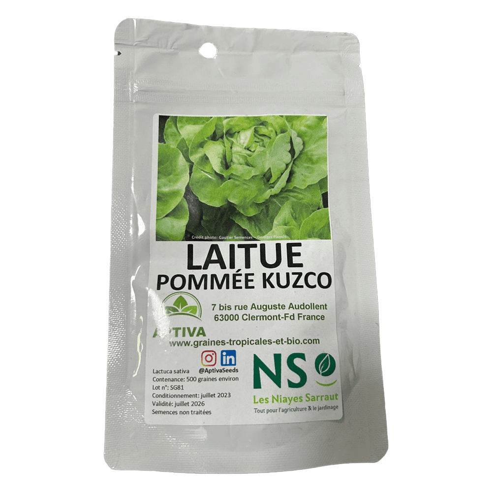laitue pommee kuzco 500graines