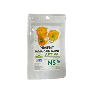 piment jamaicain jaune  sachet de 10g