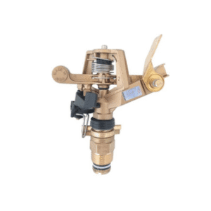 Tete d’Asperseur en Laiton rhino